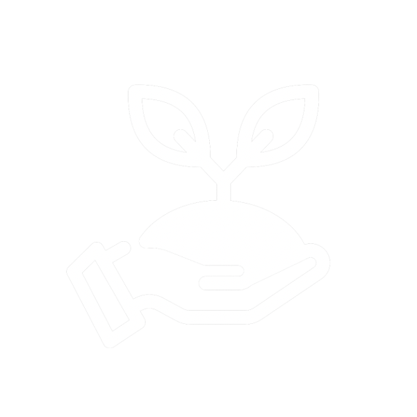  specialization — Online MBA track icon