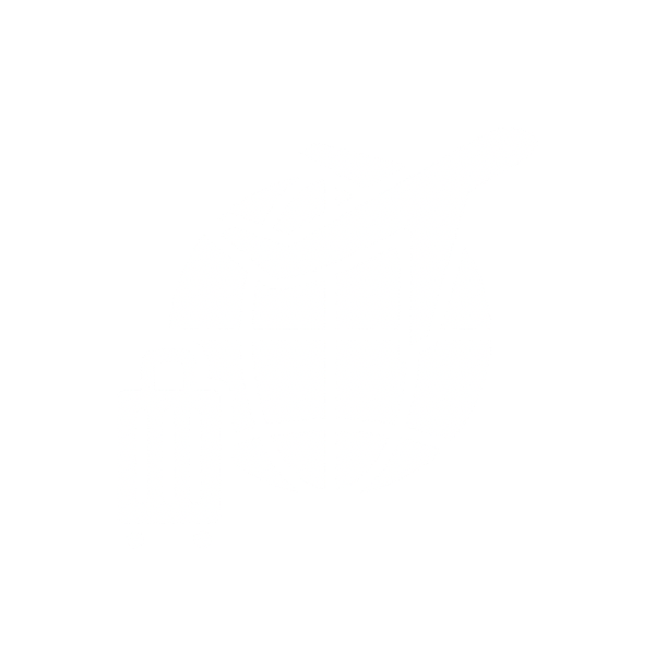  specialization — Online MBA track icon